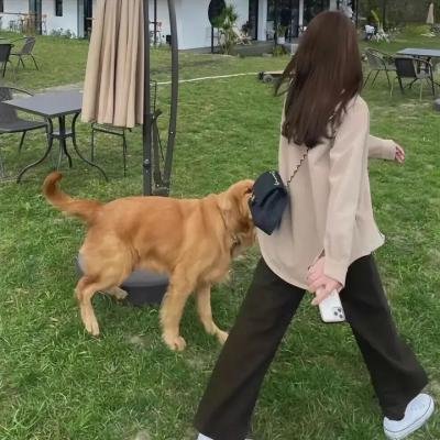 挚爱今犹在